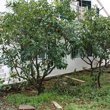 Slatine 1126b Trogir